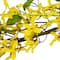 5ft. Yellow Forsythia & Berry Floral Spring Garland